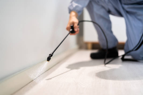 Licensed Termite Control service in Wilsonville, AL - Show Me Pest Control